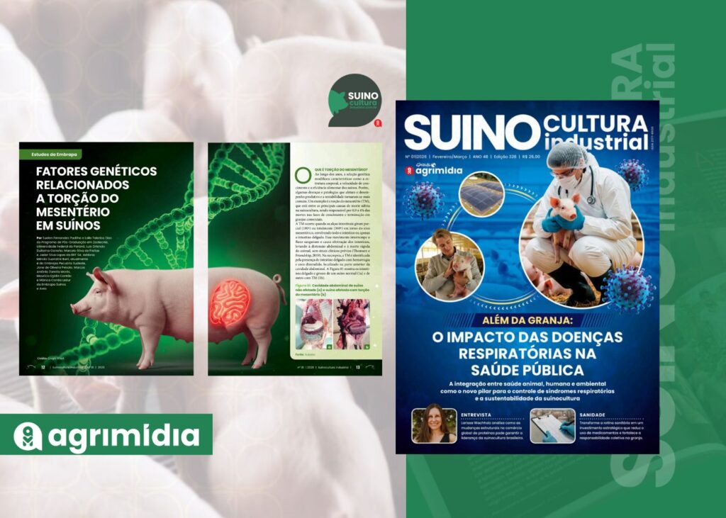 Torção do mesentério em suínos: evidências genéticas e implicações para o melhoramento animal na Suinocultura Industrial de fevereiro