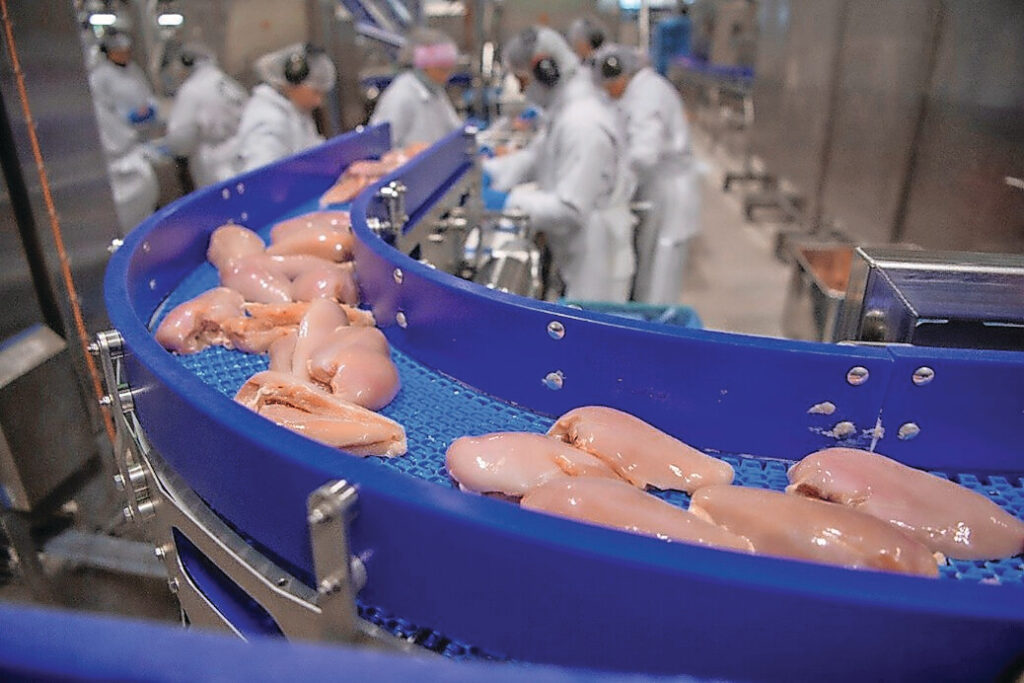 Conflito no Oriente Médio interrompe cadeias de suprimento e pressiona exportações de frango no mundo