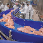 Conflito no Oriente Médio interrompe cadeias de suprimento e pressiona exportações de frango no mundo