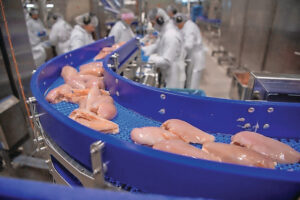 Conflito no Oriente Médio interrompe cadeias de suprimento e pressiona exportações de frango no mundo