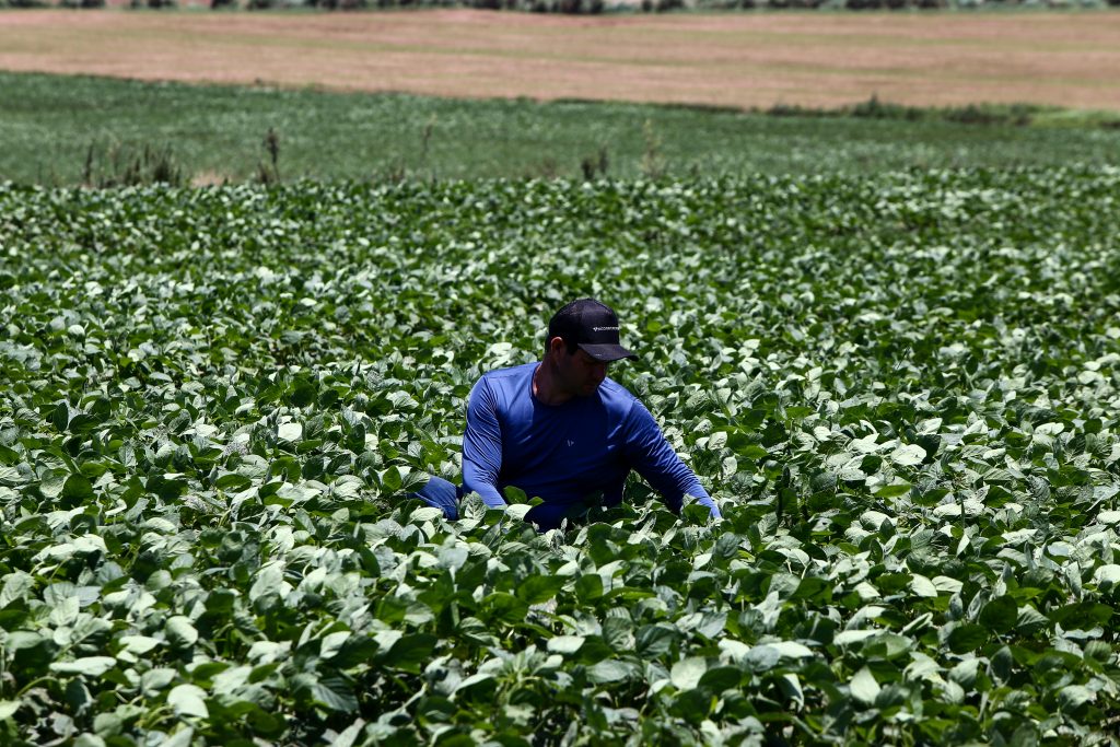 Projeto de lei propõe reforço na fiscalização e modernização do FEAP-BANAGRO