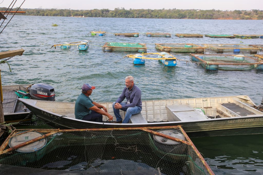 Agronegócio paulista: nova lei moderniza FEAP e amplia segurança no crédito rural
