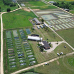 Aquicultura em Santa Catarina avança com ampliação do Cepit e investimentos em pesquisa e infraestrutura