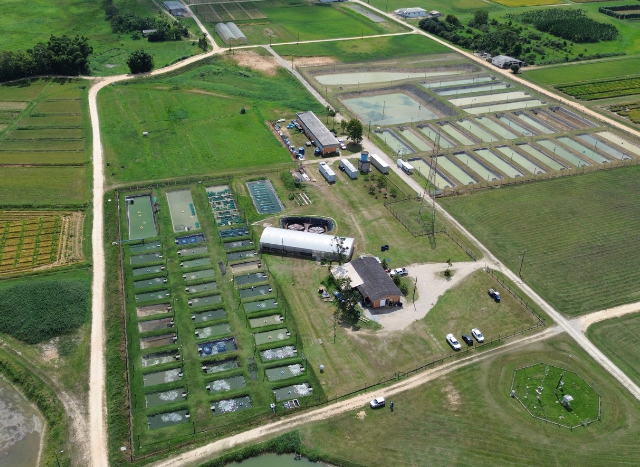 Aquicultura em Santa Catarina avança com ampliação do Cepit e investimentos em pesquisa e infraestrutura