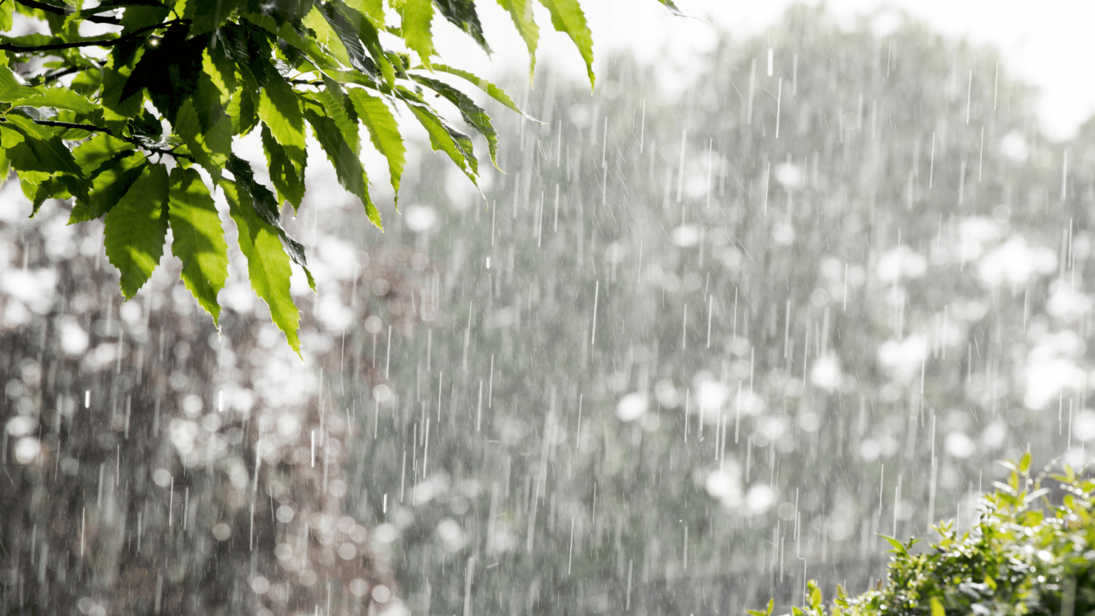 Brasil tem chuva intensa no Norte e Nordeste, enquanto Sul registra melhora no tempo Brasil tem chuva intensa no Norte e Nordeste, enquanto Sul registra melhora no tempo