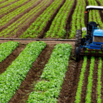 Crédito rural empresarial atinge R$ 404 bilhões no Plano Safra 2025/2026 e cresce 10%