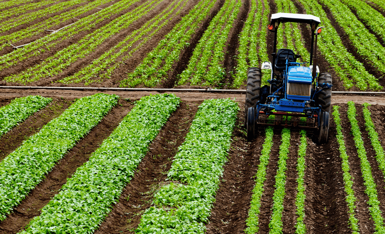 Crédito rural empresarial atinge R$ 404 bilhões no Plano Safra 2025/2026 e cresce 10% Crédito rural empresarial atinge R$ 404 bilhões no Plano Safra 2025/2026 e cresce 10%