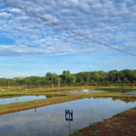 Embrapa Pesca e Aquicultura oficializa novo chefe-geral em Palmas