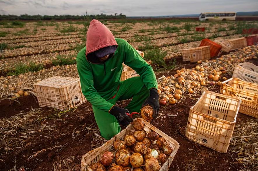 Escala 6×1 gera reação do agro e acende alerta sobre custos e produtividade no campo