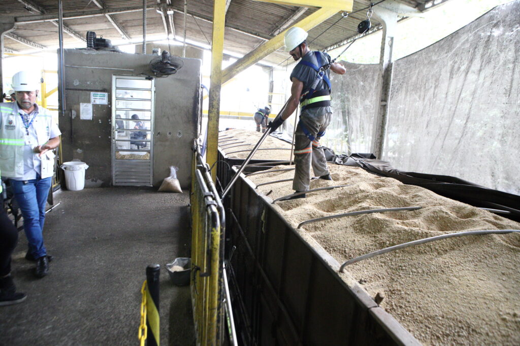 Exportação de grãos: auditoria do IDR-Paraná no Porto de Paranaguá garante qualidade e agrega valor às commodities