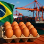 Exportações brasileiras de ovos recuam em março e atingem menor volume desde 2024
