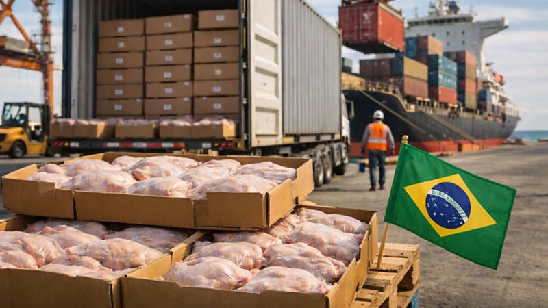 Exportações de carne de frango batem recorde no 1º trimestre de 2026, apesar de cenário geopolítico adverso