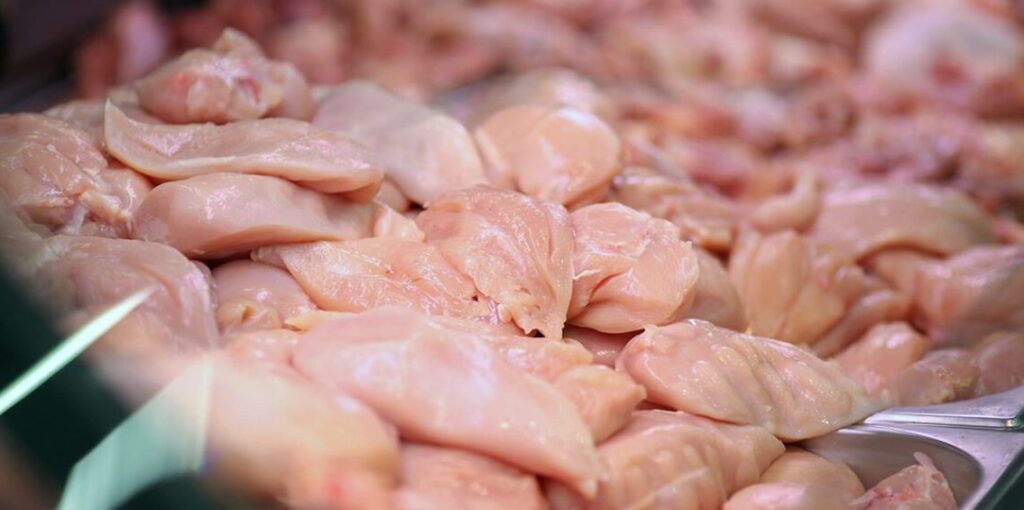Exportações de carne de frango impulsionam alta de 5,4% nas proteínas animais do Paraná no 1º trimestre de 2026 Exportações de carne de frango impulsionam alta de 5,4% nas proteínas animais do Paraná no 1º trimestre de 2026