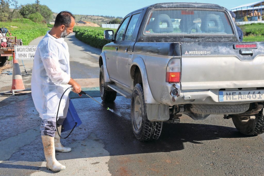 Febre aftosa avança em Chipre e atinge suinocultura em meio a cenário sanitário complexo