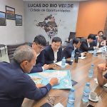 Gigante chinesa avalia investir na suinocultura brasileira em Mato Grosso