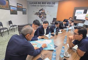 Gigante chinesa avalia investir na suinocultura brasileira em Mato Grosso