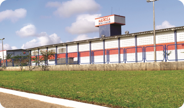 Mauricéa Alimentos exporta para 35 países e alcança capacidade de 420 mil frangos/dia