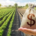 Agro busca independência política para proteger negócios e manter diálogo com o governo
