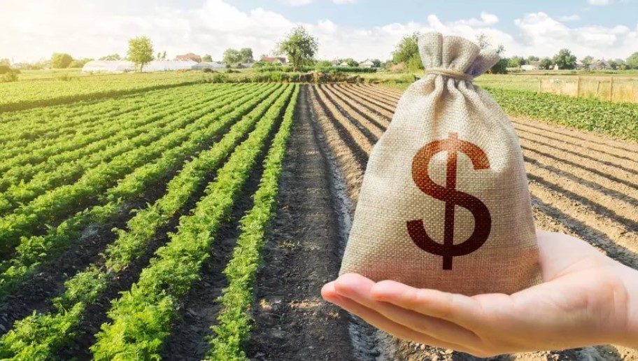 PIB do agronegócio cresce 12,2% e atinge R$ 3,2 trilhões no Brasil