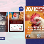 Produção animal: Brasil reforça protagonismo global com produtividade, preservação e bioenergia na Avicultura Industrial de Abril