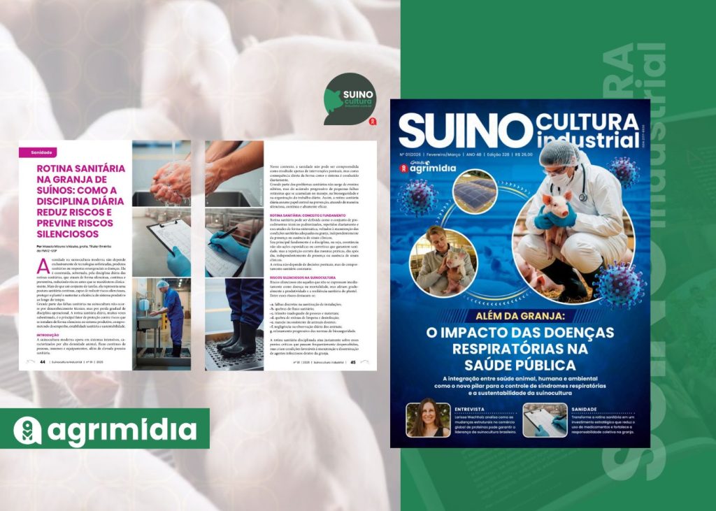 Sanidade: disciplina diária na granja reduz riscos silenciosos e sustenta produtividade na Suinocultura Industrial de Fevereiro