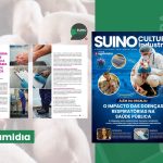 Sanidade: disciplina diária na granja reduz riscos silenciosos e sustenta produtividade na Suinocultura Industrial de Fevereiro