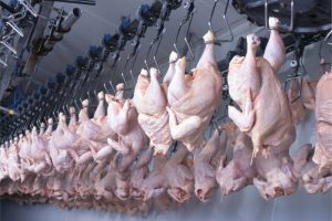 ABPA rebate relato internacional sobre suposta contaminação de frango brasileiro na Grécia
