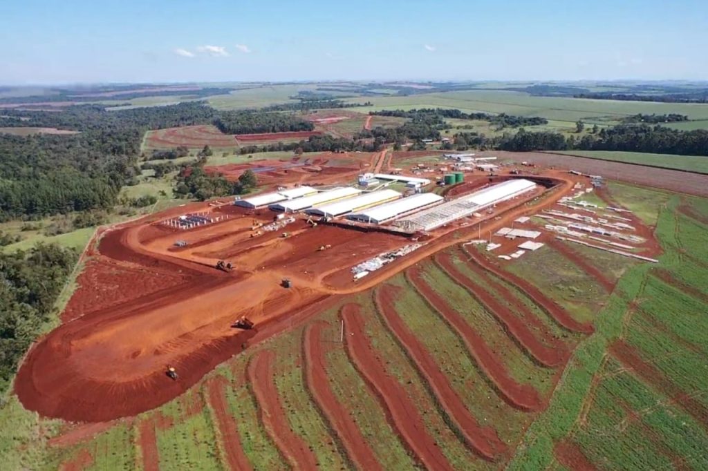 Agroceres PIC finaliza primeira fase de povoamento em nova granja da Colonias Unidas no Paraguai