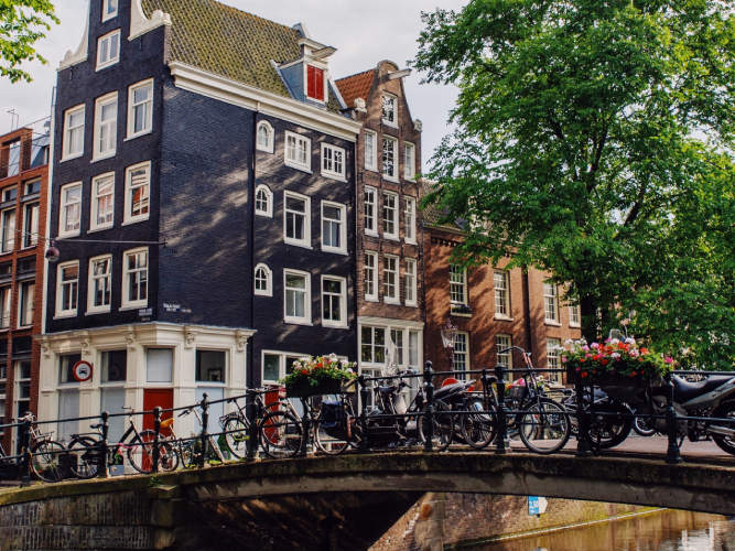 Amsterdã proíbe anúncios de carne e combustíveis fósseis em espaços públicos