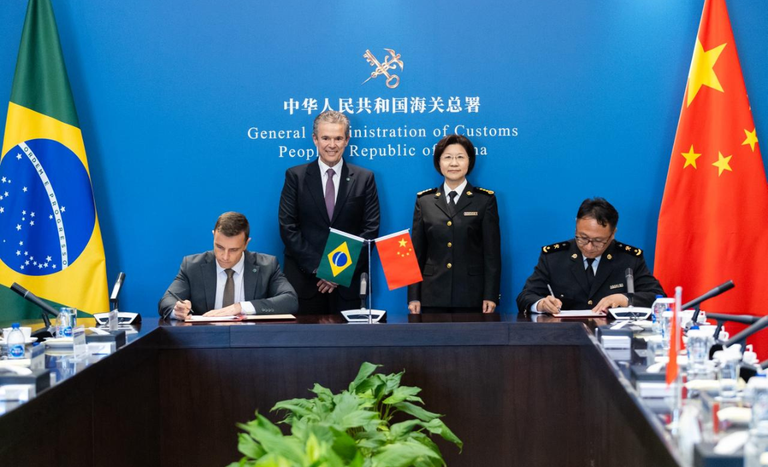 Brasil e China avançam em protocolo para miúdos suínos e ampliam cooperação agropecuária