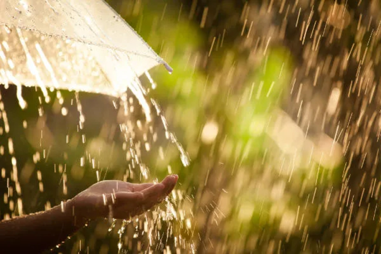 Brasil terá terça-feira de tempo instável, com chuva forte no Norte e Nordeste e sol no Sul e no Centro-Oeste