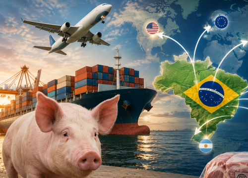 Exportações de carne suína crescem 8,3% em abril e reforçam alta em 2026