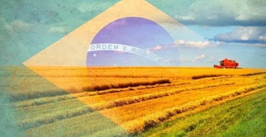 Brasil navega entre reabertura asiática e exigências europeias que ainda não atende Brasil navega entre reabertura asiática e exigências europeias que ainda não atende