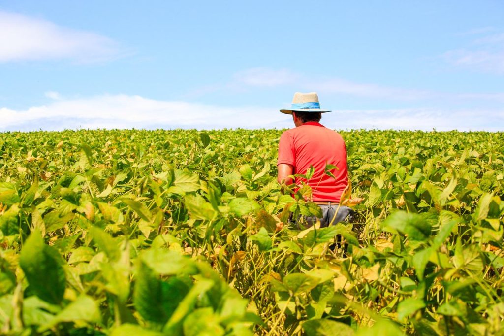 Crédito caro, inadimplência e cenário externo pressionam o agro brasileiro
