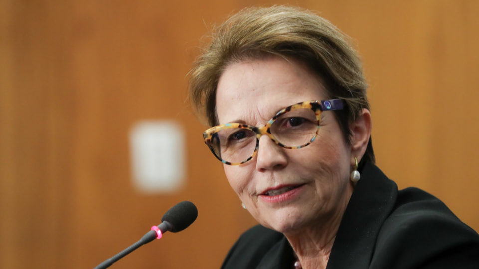 Crédito caro, inadimplência e cenário externo pressionam o agro brasileiro