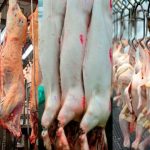 De olho no mercado global de proteína animal, Brasil articula diretrizes sanitárias na OMSA De olho no mercado global de proteína animal, Brasil articula diretrizes sanitárias na OMSA