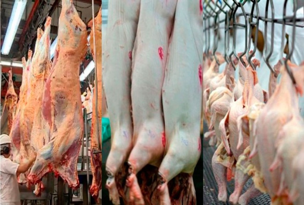 De olho no mercado global de proteína animal, Brasil articula diretrizes sanitárias na OMSA