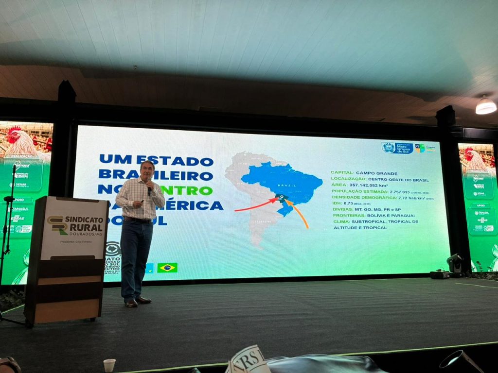 Estado aposta em incentivos e sanidade para ampliar competitividade da avicultura em MS