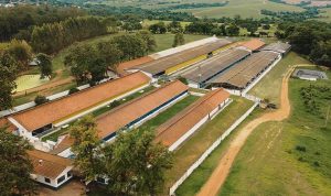 Ianni Agropecuária produz 7 mil toneladas de carne suína/ano e pode abastecer até 600 mil pessoas