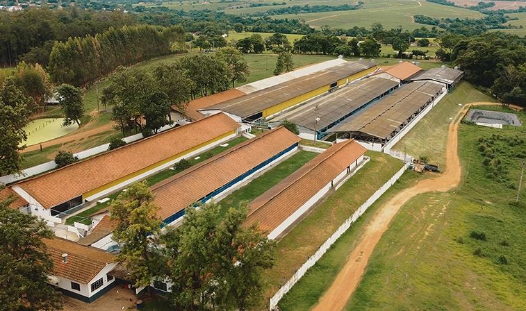 Ianni Agropecuária produz 7 mil toneladas de carne suína/ano e pode abastecer até 600 mil pessoas