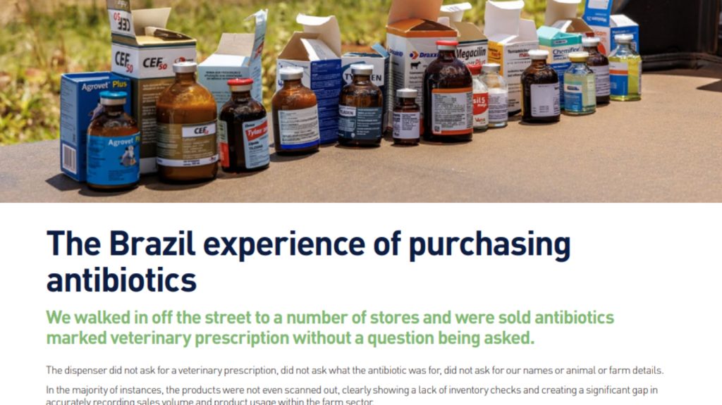 Missão de pecuaristas da Irlanda ao Brasil, com denúncias sobre antibióticos e hormônios, antecede veto europeu à carne brasileira