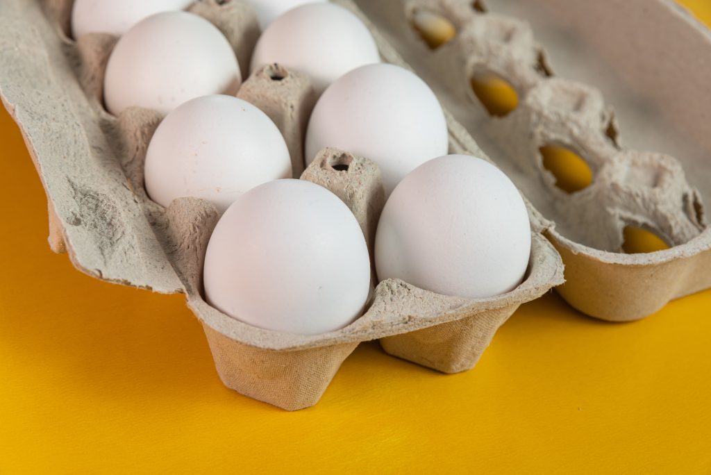 Produção de ovos ganha força no Brasil e setor discute inovação em evento no Recife
