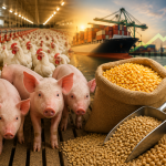 Nova lei amplia Programa de Venda em Balcão e diversifica ração animal