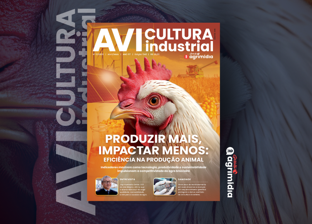 Reovírus aviário ganha atenção e desafia o controle na avicultura brasileira