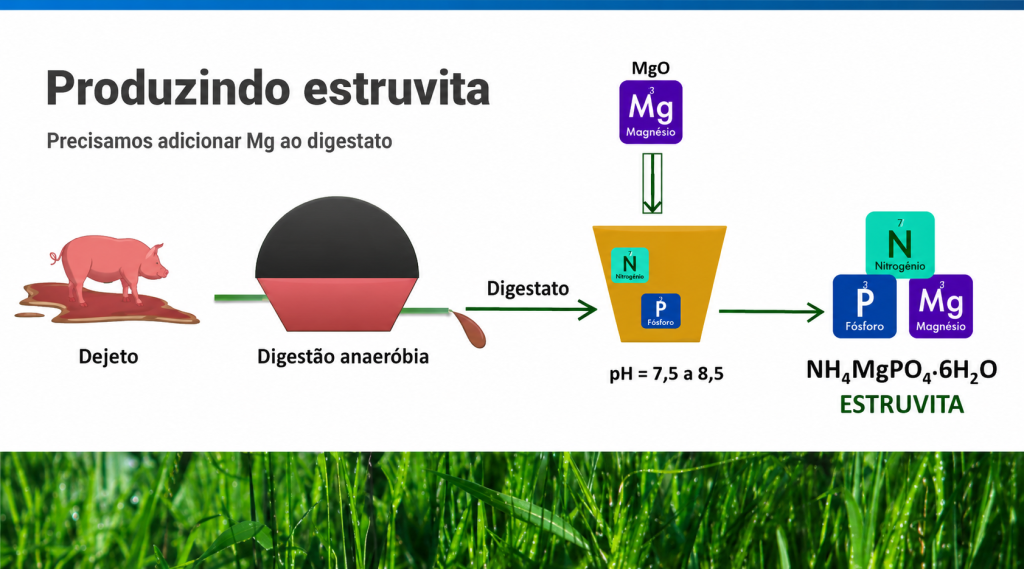 Resíduos da suinocultura viram fertilizante e ajudam a sustentar a produtividade da soja