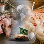 Sanidade garante espaço, mas pressão regulatória desafia suinocultura e avicultura brasileiras
