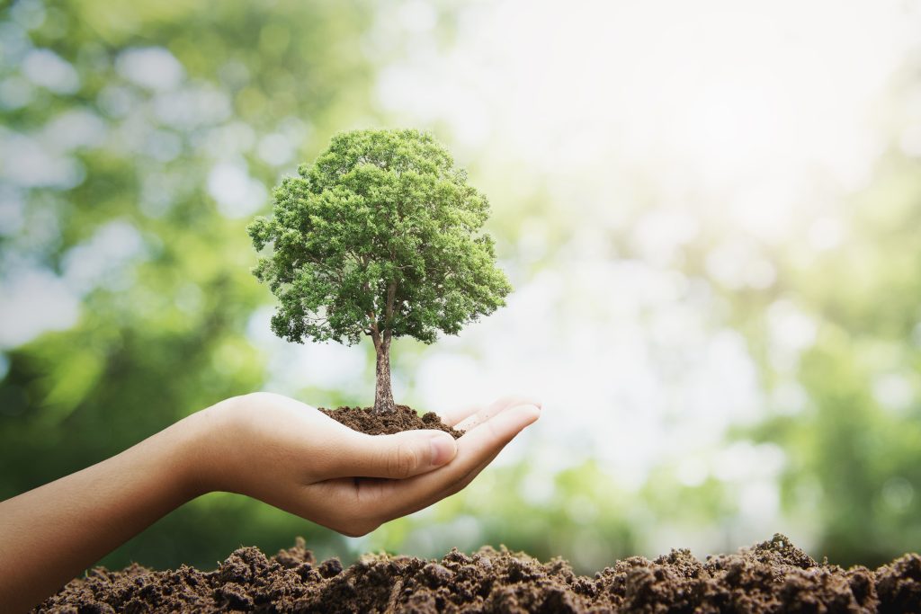 Carbono, biogás e protocolo com China: o agro brasileiro reposiciona sua agenda de valor