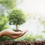 Carbono, biogás e protocolo com China: o agro brasileiro reposiciona sua agenda de valor
