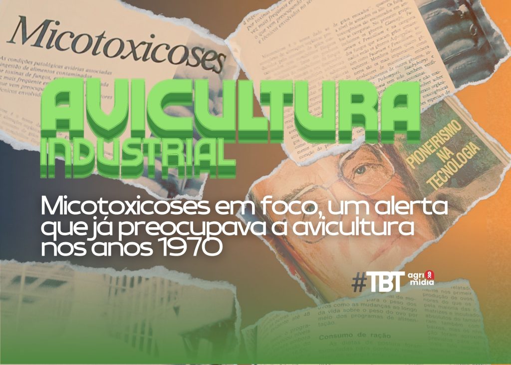 TBT Agrimidia: Micotoxicoses em foco, um alerta que já preocupava a avicultura nos anos 1970