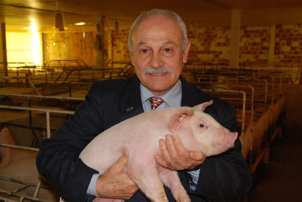 Entrevista: Flauri Migliavacca, cinco décadas moldando a suinocultura brasileira